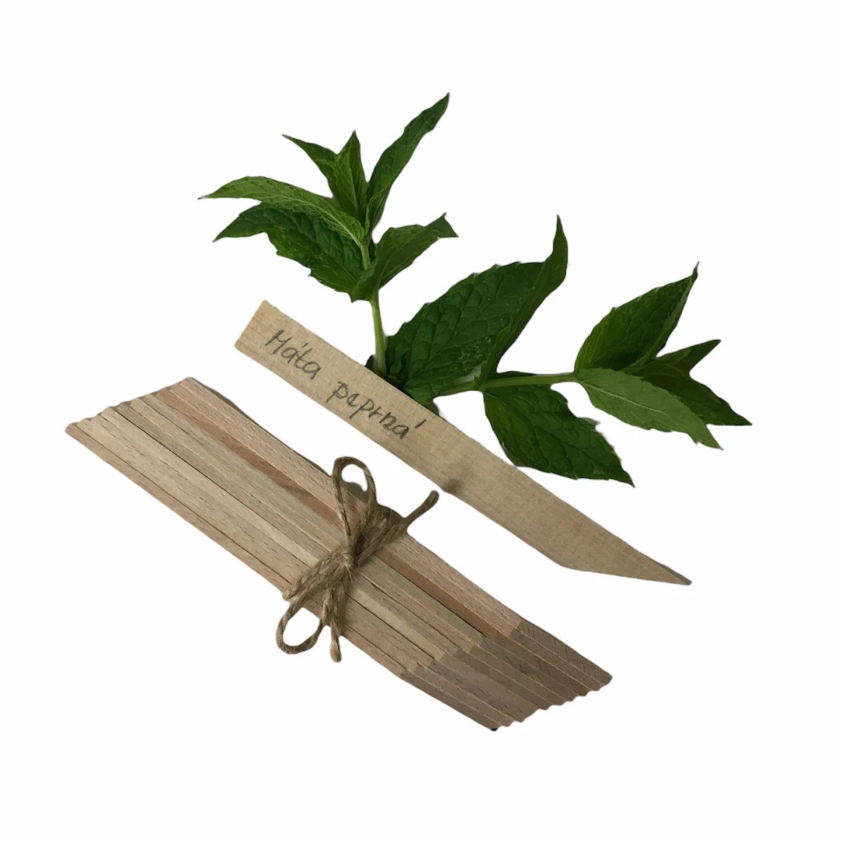 Zápich na označenie sadeníc - drevený - predaj menoviek - 1 ks