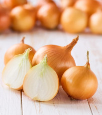 Cibuľa sadzačka Winteria - Allium cepa - predaj cibuliek - 250 g