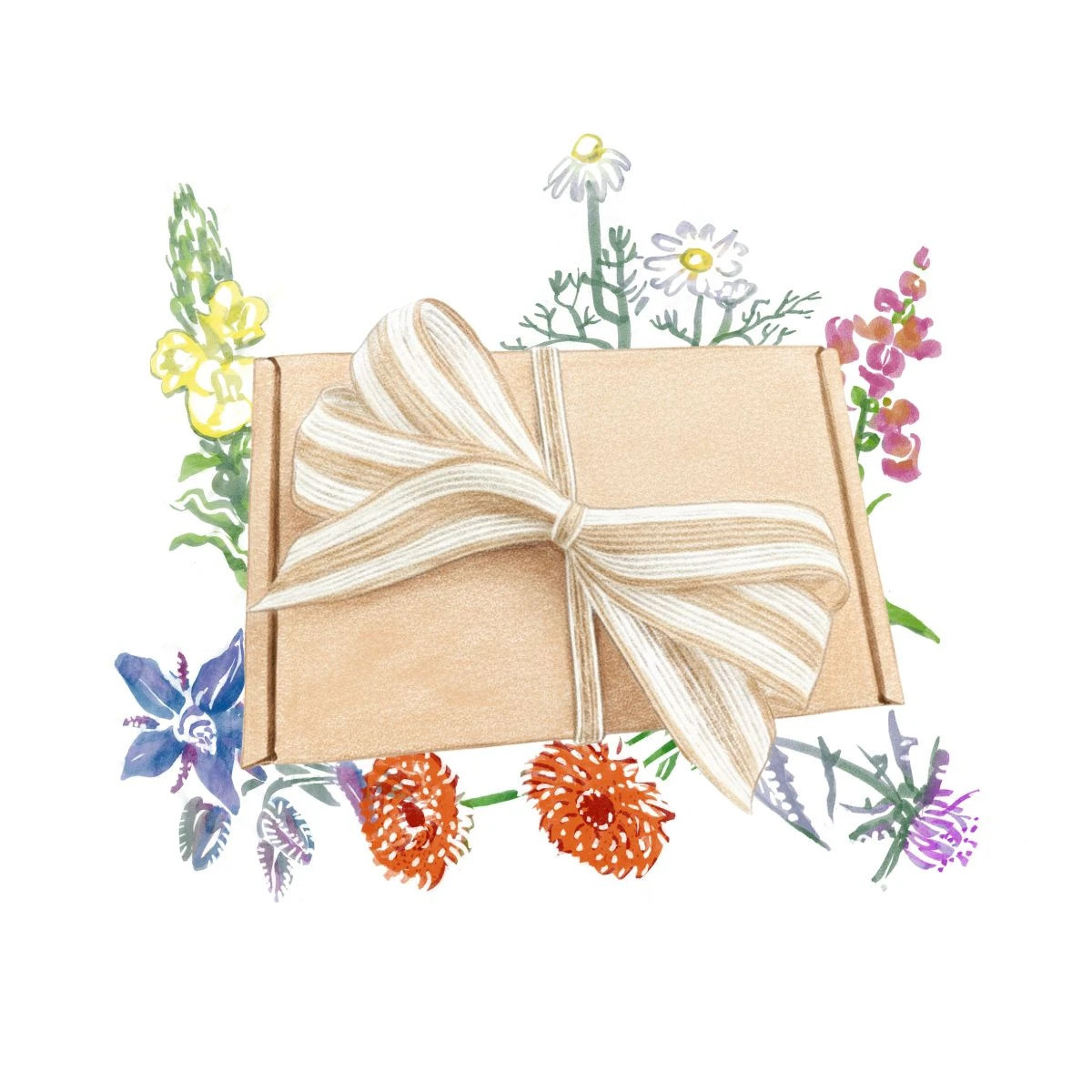 Darčeková súprava jedlých kvetov - balíček semienok