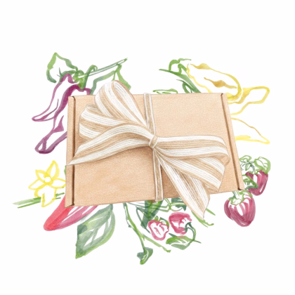 Darčeková súprava pre pestovateľov chilli - balíček semienok