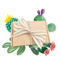 Darčeková súprava pre pestovateľov kaktusov - balíček semienok