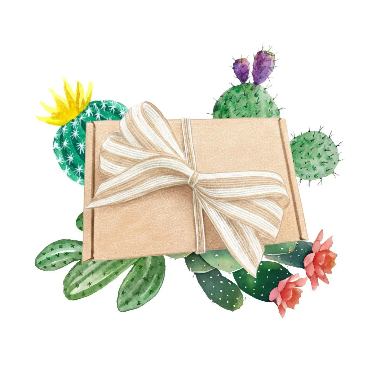 Darčeková súprava pre pestovateľov kaktusov - balíček semienok