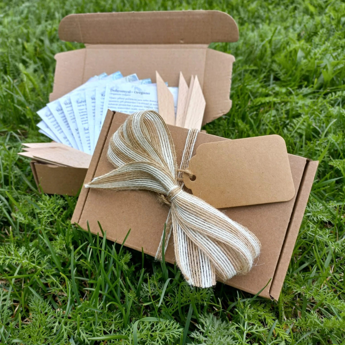 Darčeková súprava pre pestovateľov kaktusov - balíček semienok