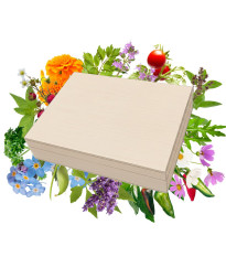 TOP balenie semien v darčekovej škatuľke