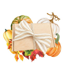 Darčeková súprava pre pestovateľov tekvíc - balíček semienok