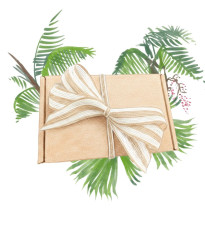 Darčekový balíček – súprava pre pestovateľov paliem – balíček semienok