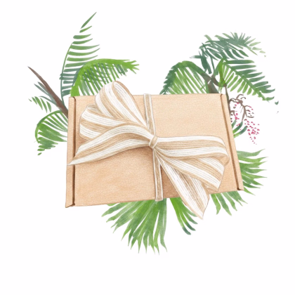 Darčekový balíček – súprava pre pestovateľov paliem – balíček semienok