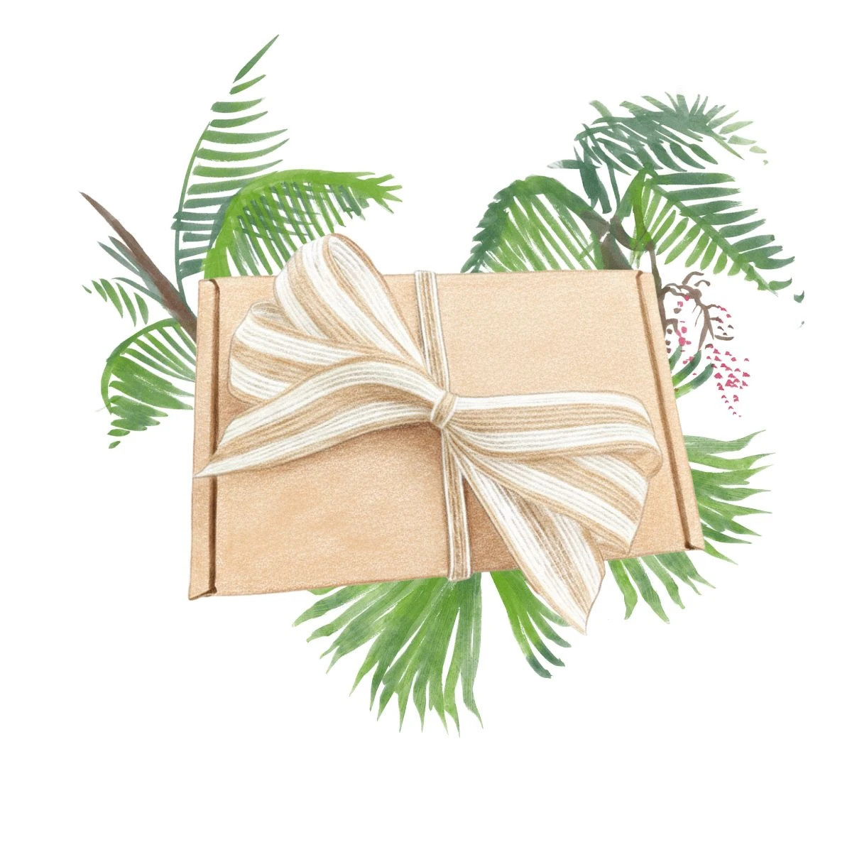 Darčekový balíček – súprava pre pestovateľov paliem – balíček semienok