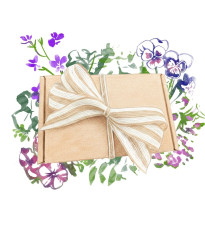 Darčekový balíček – kvety do kvetináčov – pestovanie na parapete