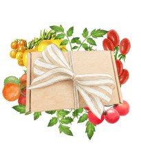 Darčeková súprava pre pestovateľov paradajok - balíček semienok