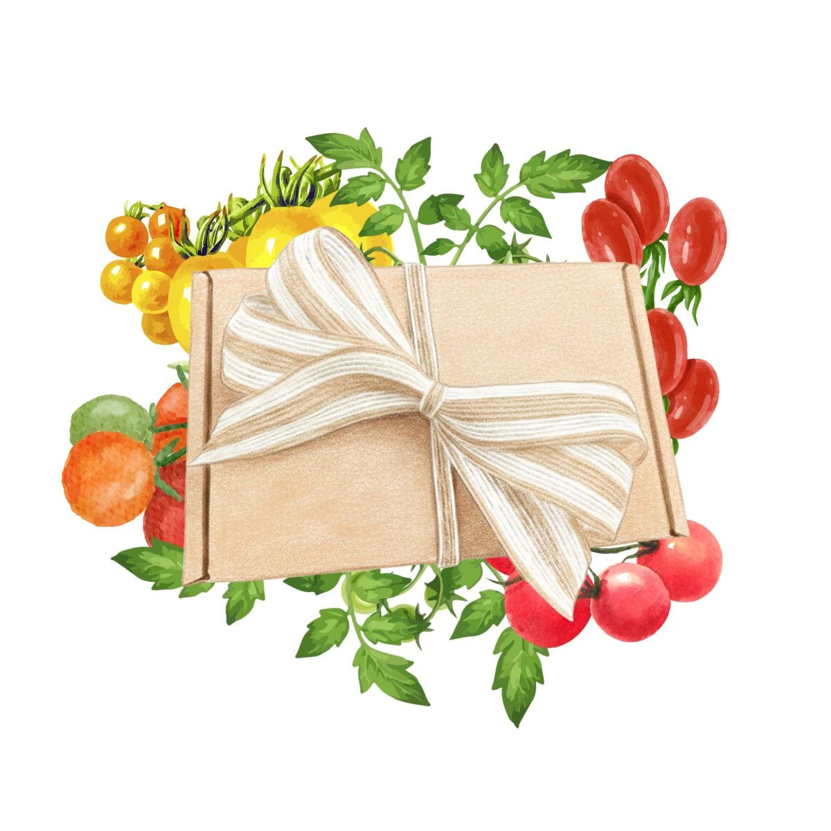 Darčeková súprava pre pestovateľov paradajok - balíček semienok