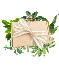 Darčeková súprava pre pestovateľov izbových rastlín - balíček semienok