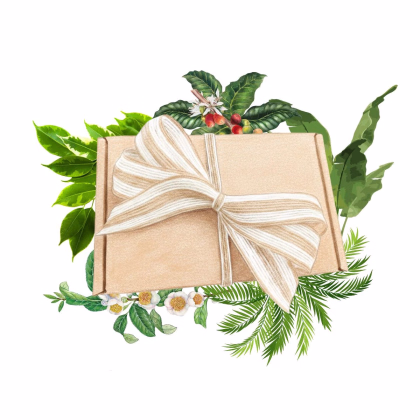 Darčeková súprava pre pestovateľov izbových rastlín - balíček semienok