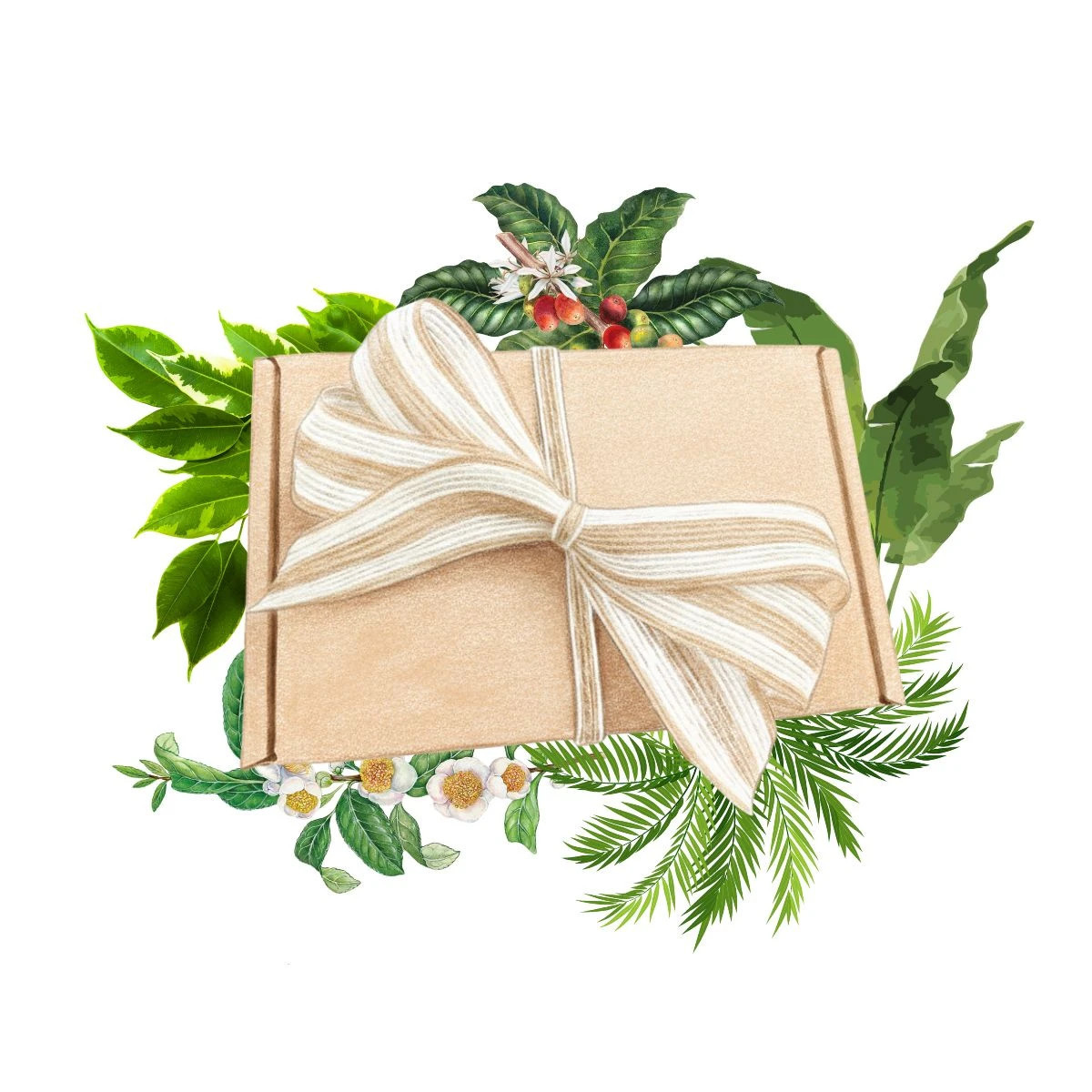 Darčeková súprava pre pestovateľov izbových rastlín - balíček semienok