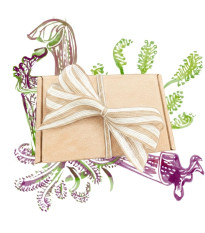 Darčeková súprava pre pestovateľov mäsožravých rastlín - balíček semienok