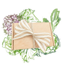 Darčeková súprava pre pestovateľov listovej zeleniny - balíček semienok