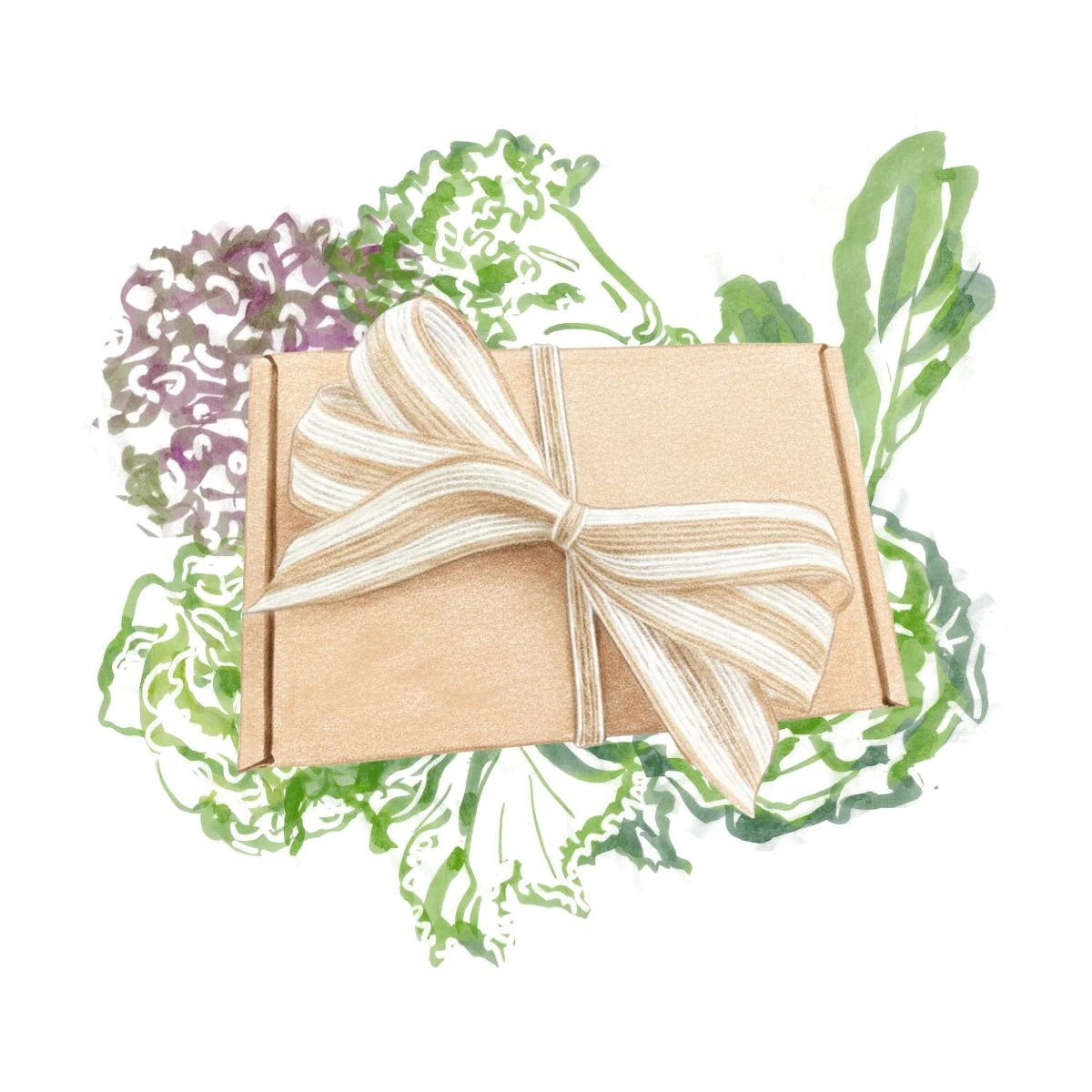 Darčeková súprava pre pestovateľov listovej zeleniny - balíček semienok