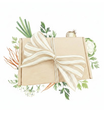 Darčeková súprava zeleniny do polievky - balíček semienok