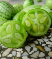 Mexická miniuhorka - Melothria scabra - semiačka cucamelona - 5 ks