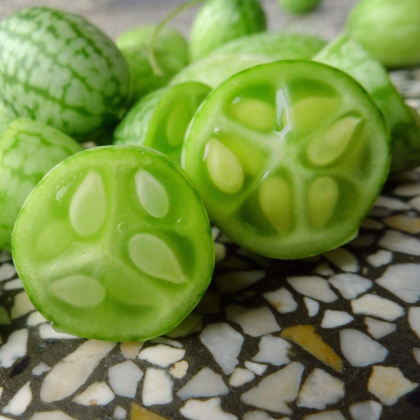 Mexická miniuhorka - Melothria scabra - semiačka cucamelona - 5 ks