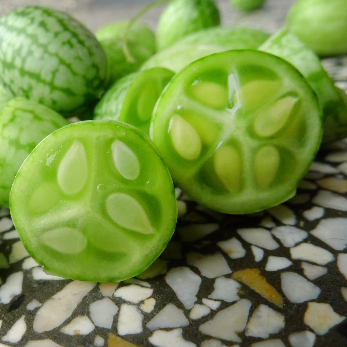 Mexická miniuhorka - Melothria scabra - semiačka cucamelona - 5 ks