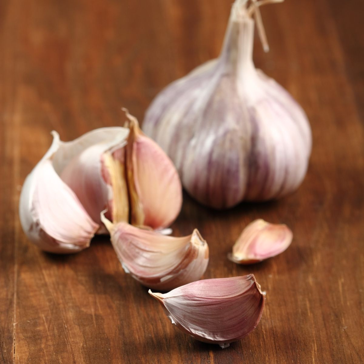 Sadbový cesnak Slavin II - Allium sativum - paličiak - 1 balenie