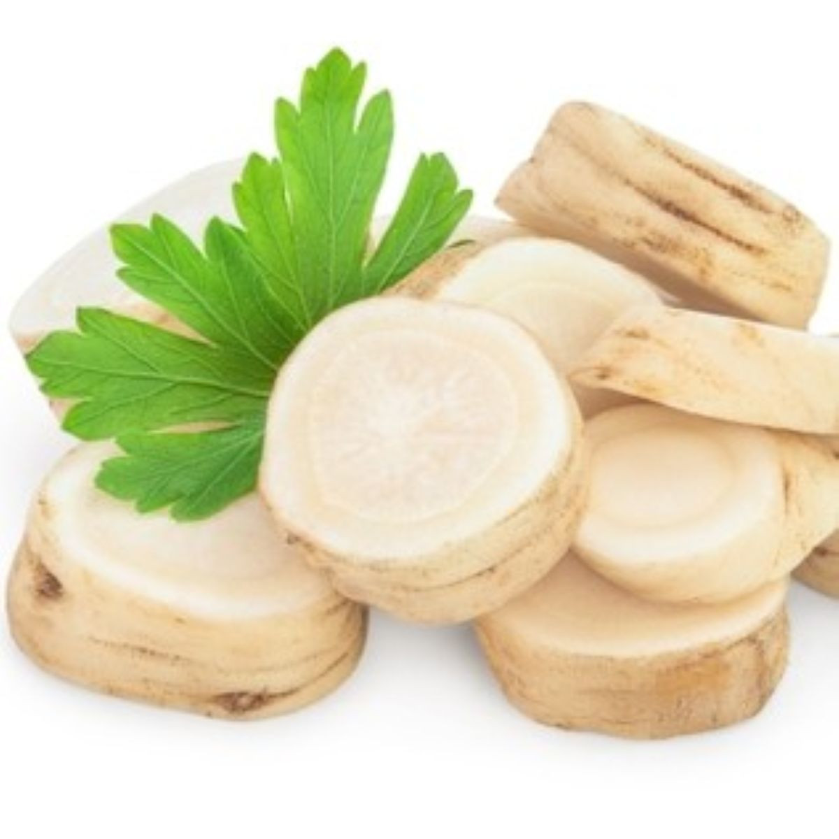 Semienka petržlenu – Petržlen koreňový záhradný Efez – Petroselinum crispum