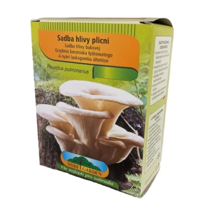 Hliva pľúcna - Pleurotus pulmonarius - sadivo - predaj - 250 ml