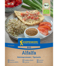 Bio Alfalfa - Lucerna - Kiepenkerl - Medicago sativa - predaj bio semien - 40 g