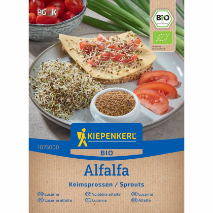 Bio Alfalfa - Lucerna - Kiepenkerl - Medicago sativa - predaj bio semien - 40 g