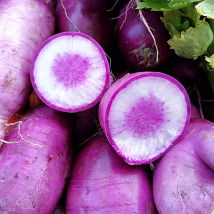 Reďkev Blue Candle F1 - Raphanus sativus - predaj semien - 35 ks