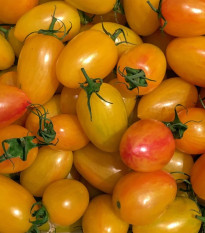 BIO Paradajka tyčková Artisan Blush Tiger - Solanum lycopersicum - predaj bio semien - 6 ks