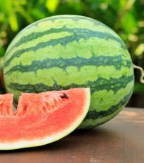 Melón vodný Nanoor F1 - Citrullus lanatus - predaj semien - 6 ks