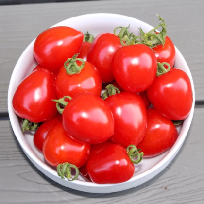 Paradajka tyčková Gardenberry F1 - Solanum lycopersicum - predaj semien - 5 ks