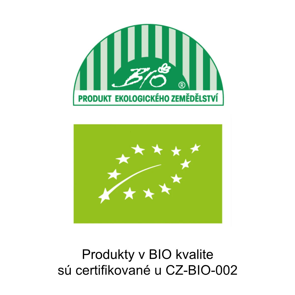 BIO Chilli Jalapeno Ruben – Capsicum annuum – predaj bio semien