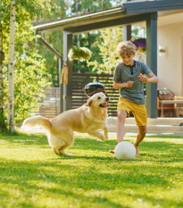 BIO Trávne osivo - univerzálne - Sativa - predaj semien - 500 g