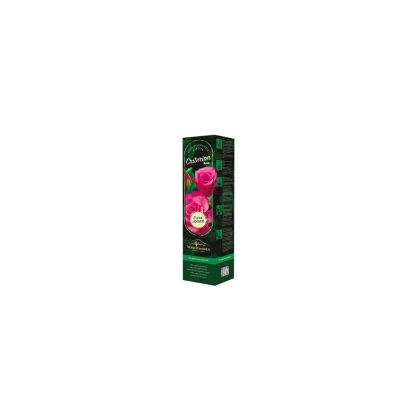 Ruža veľkokvetá kríková - Fragrant Criterion - Rosa - voľnokorenné sadenice - 1 ks