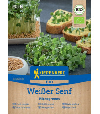 BIO Biela horčica - microgreens - predaj semien - 50 g