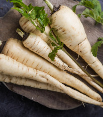 Paštrnák dlhý biely Halblange - Pastinaca sativa - predaj semien - 1 g