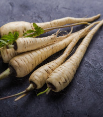 Paštrnák Javelin F1 - Pastinaca sativa - predaj semien - 0,3 g