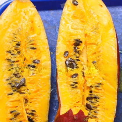 Casabanan - Muškátová uhorka - Sicana odorifera - semiačka - 6 ks