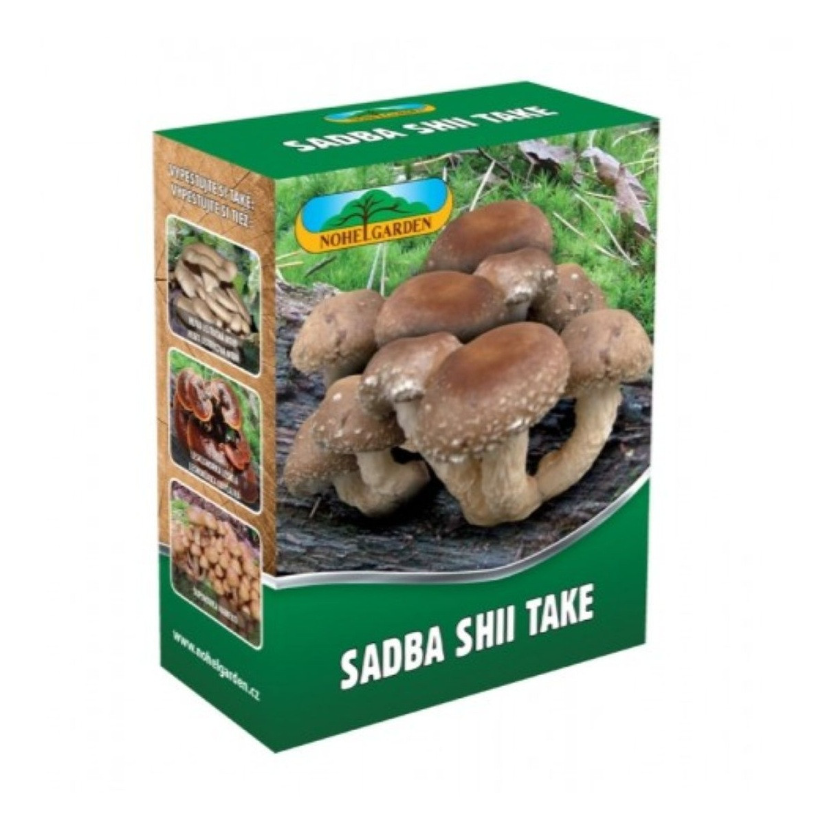 Shii take - Húževnatec jedlý - Lentinula edodes - sadba - predaj - 250 ml