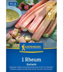 Rebarbora Goliath - Rheum rhabarbarum - predaj voľnokorenných sadeníc - 1 ks