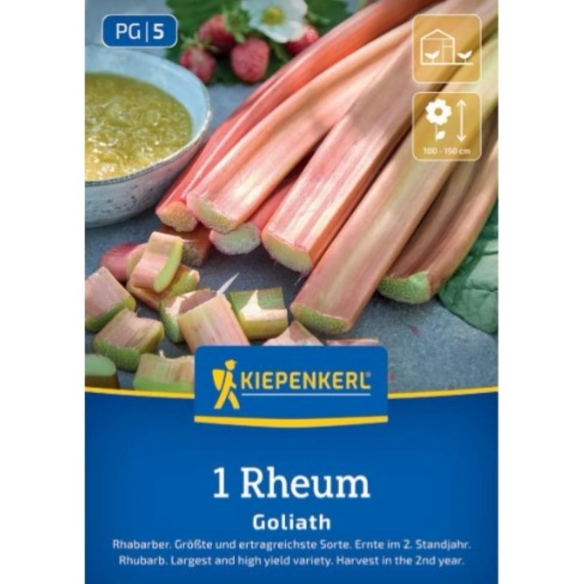 Rebarbora Goliath - Rheum rhabarbarum - predaj voľnokorenných sadeníc - 1 ks