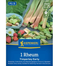 Rebarbora Timperley Early - Rheum rhabarbarum - predaj voľnokorenných sadeníc - 1 ks