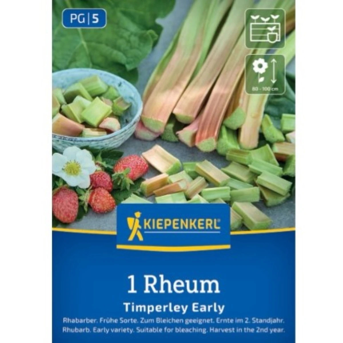 Rebarbora Timperley Early - Rheum rhabarbarum - predaj voľnokorenných sadeníc - 1 ks