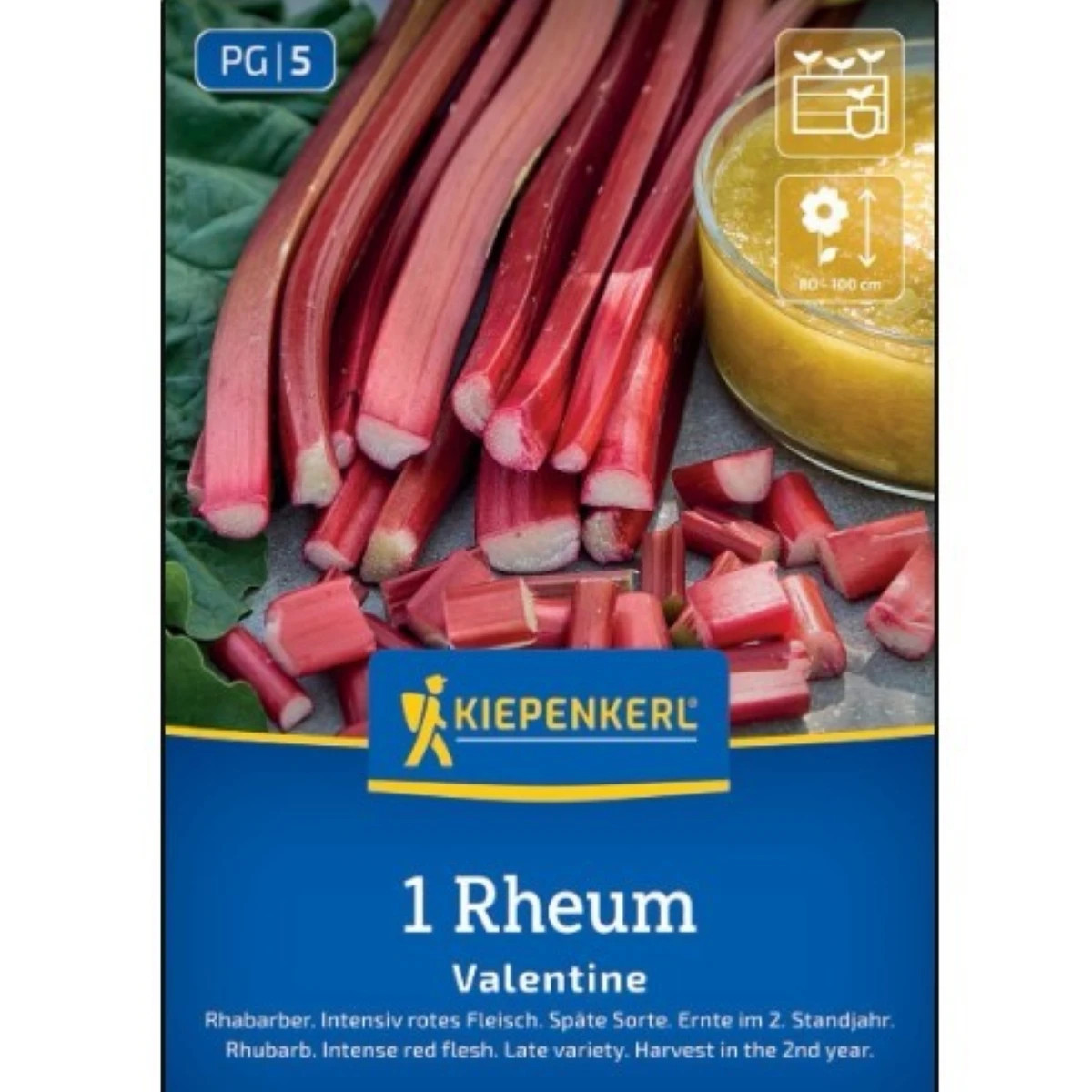 Rebarbora Valentine - Rheum rhabarbarum - voľnokorenná sadenica rebarbory ​​- 1 ks