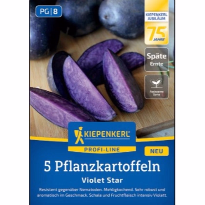 Sadbové zemiaky Violet Star - Solanum tuberosum - Kiepenkerl - sadivo - 5 ks