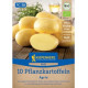 BIO Sadbové zemiaky Agria - Solanum tuberosum - Kiepenkerl - bio sadivo - 10 ks