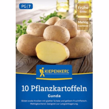Sadbové zemiaky Gunda - Solanum tuberosum - Kiepenkerl - sadivo - 10 ks